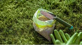 Using Tissue and Root Zone Analysis to Improve Crop Nutrition Decisions