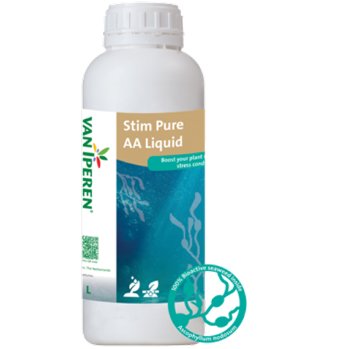 EXTREME AA ALGAE Bormo