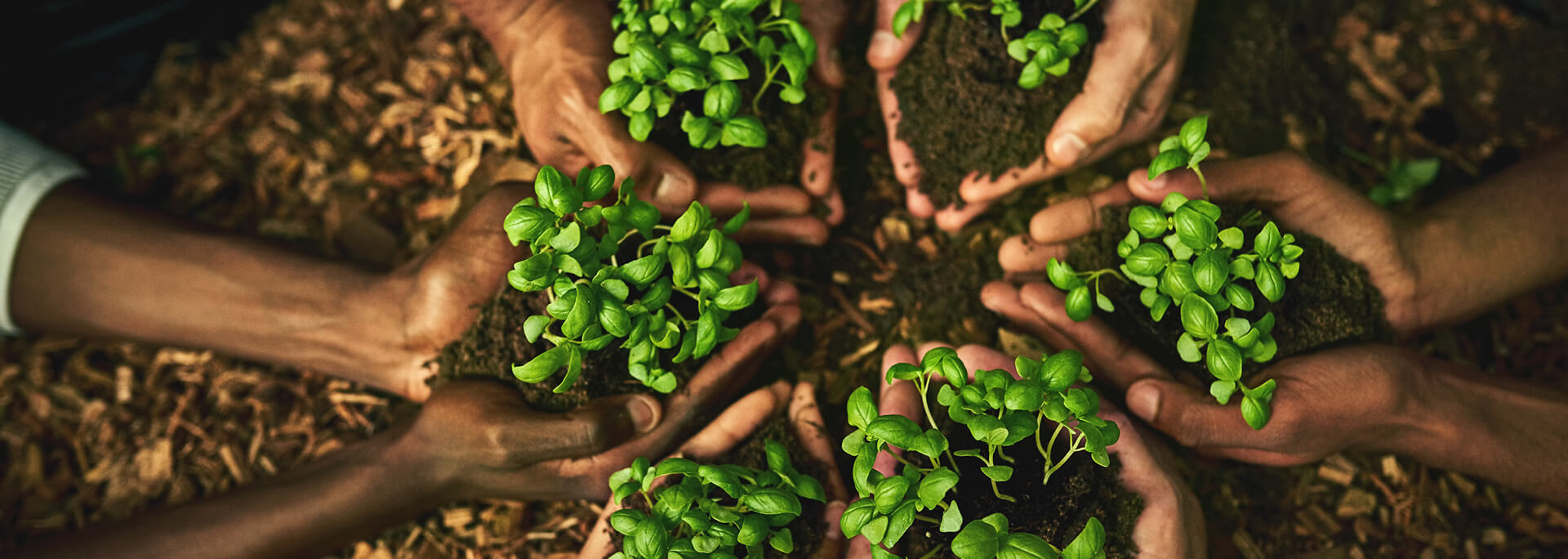 Meet Van Iperen International at GreenTech 2025!